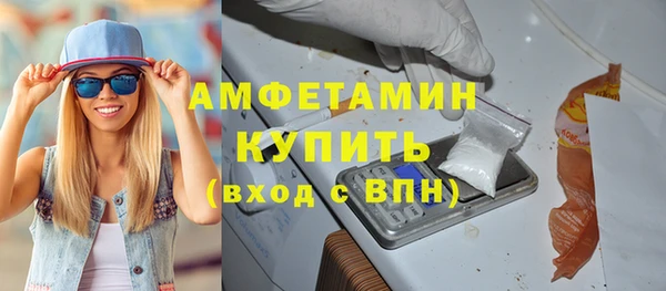 гашик Ельня