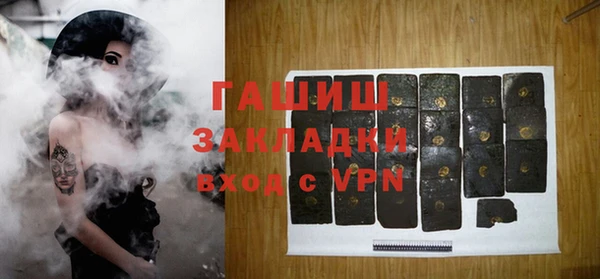 гашик Ельня