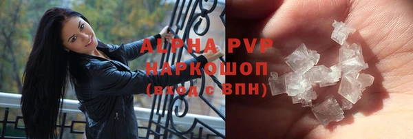 гашик Ельня