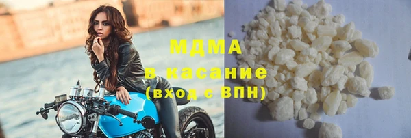 гашик Ельня