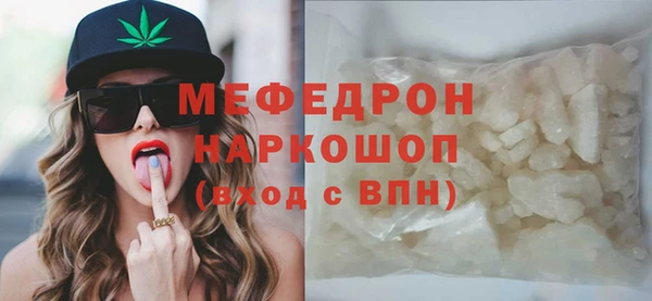 гашик Ельня