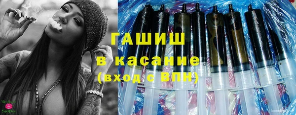 гашик Ельня
