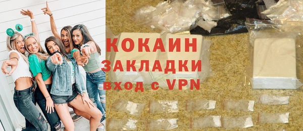 гашик Ельня