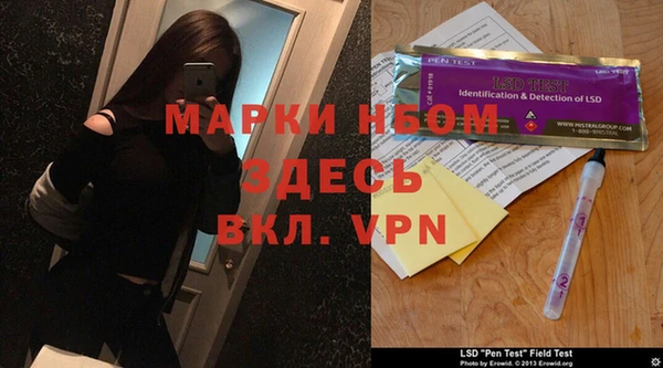 гашик Ельня