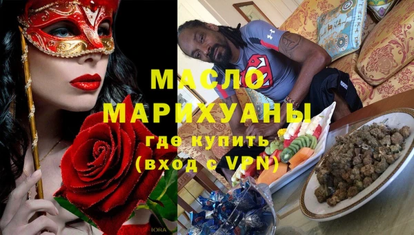гашик Ельня