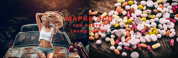 гашик Ельня