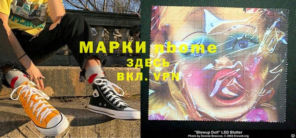 гашик Ельня