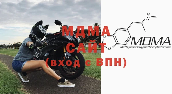 гашик Ельня