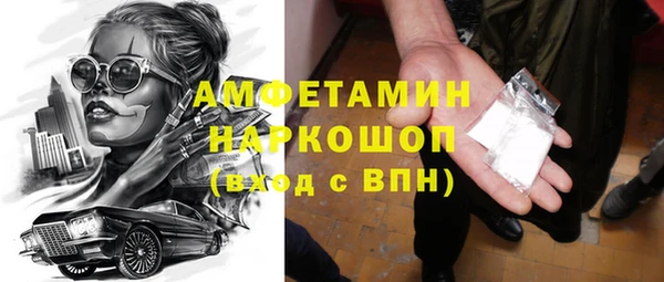 гашик Ельня